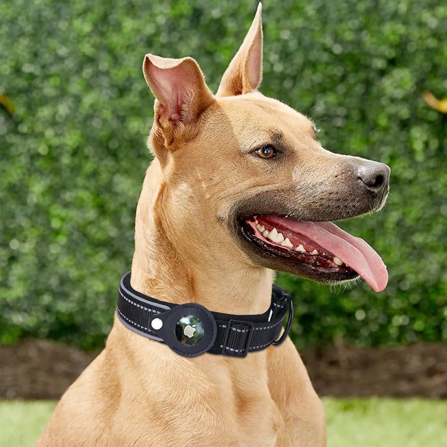 Air tag Case Leather Dog/Cat Collar for Apple Air tags Location My Store