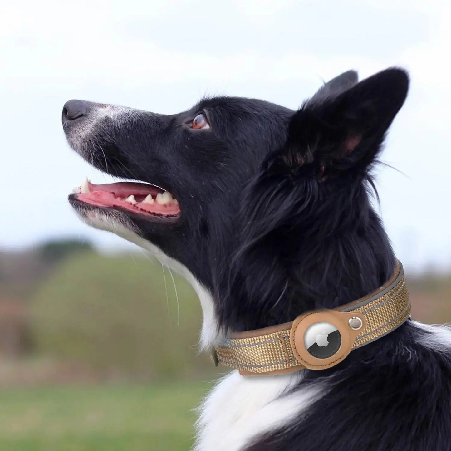 Air tag Case Leather Dog/Cat Collar for Apple Air tags Location My Store