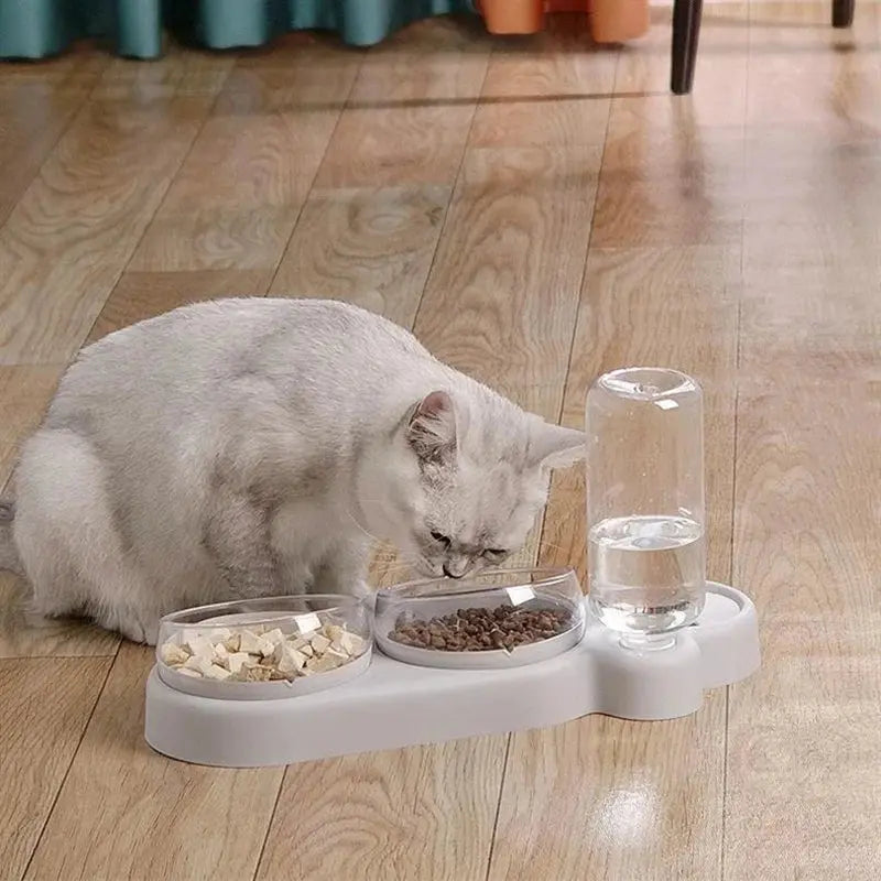 Cat Bowl Pet Feeder Anti-Tip Double Bowl with Drinking Fountain My Store