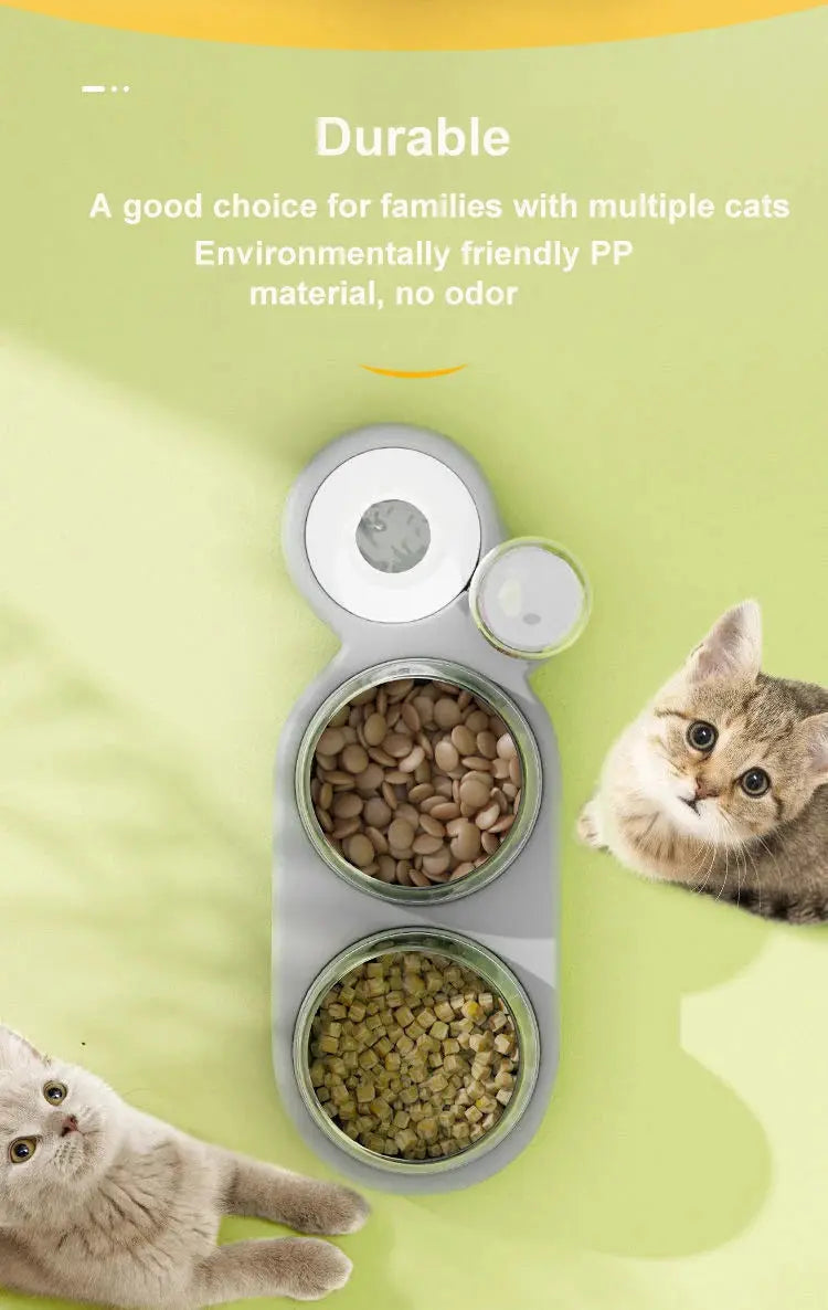 Cat Bowl Pet Feeder Anti-Tip Double Bowl with Drinking Fountain My Store